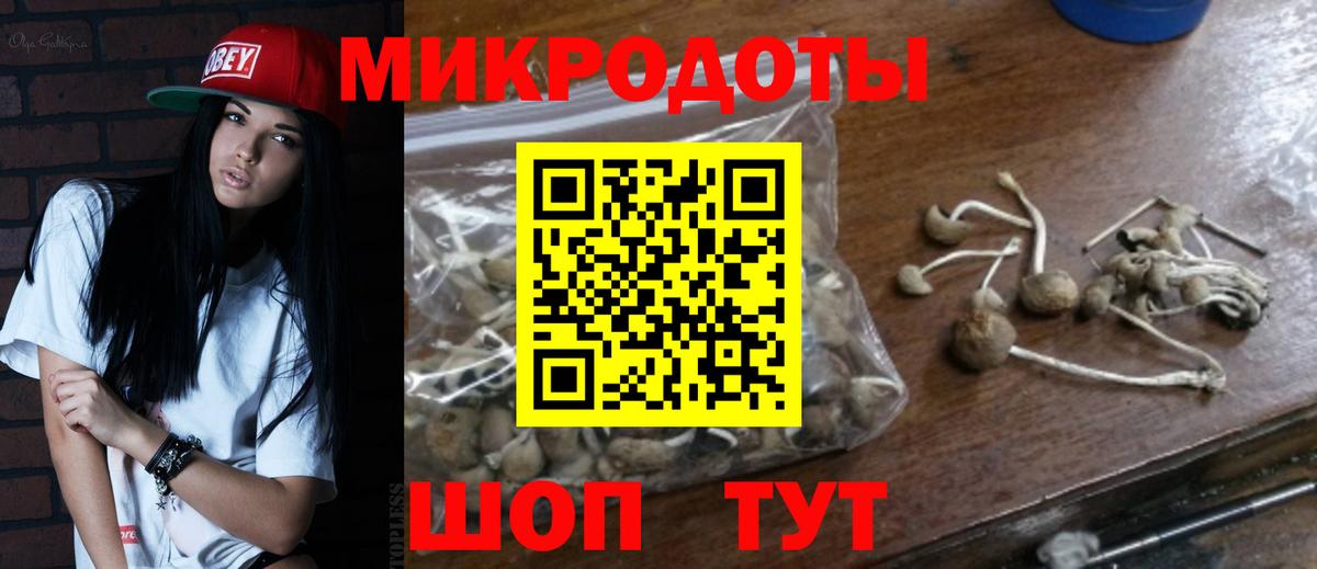 Псилоцибиновые грибы Psilocybe  Вход с VPN  Трёхгорный 